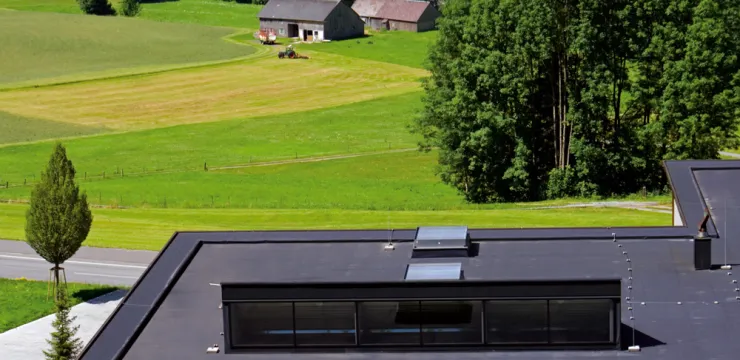 Haus mit Flachdach, Wiese mit Bauernhaus und Bäume im Hintergrund