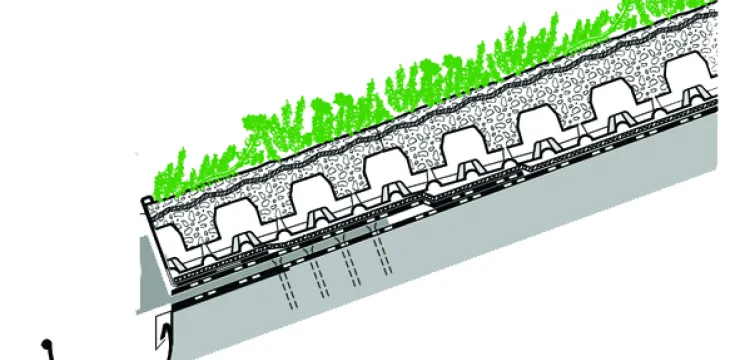 Steildach mit Begrünung - Schrägdachbegrünung