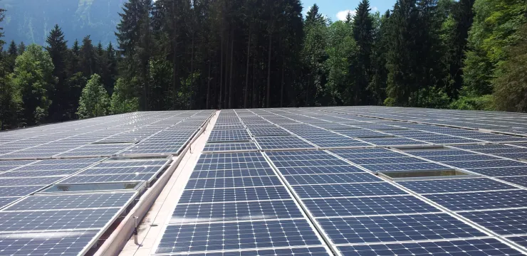 Flachdach mit Solarpanelen, umgeben von Bäumen.